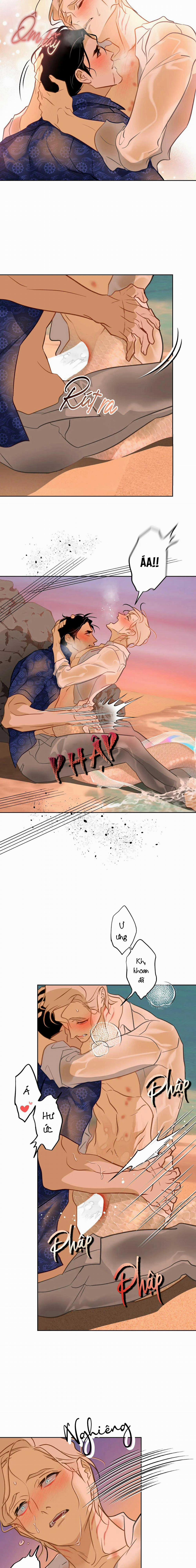 Tình Đầu Của Anh Chủ Quán Sashimi Là Người Cá 15 trang 4