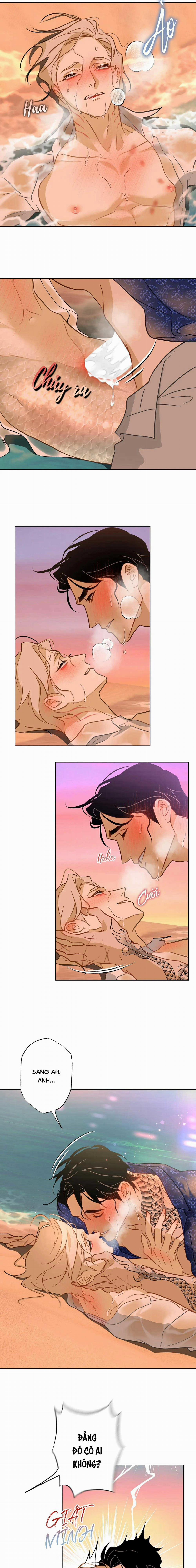 Tình Đầu Của Anh Chủ Quán Sashimi Là Người Cá 15 trang 8