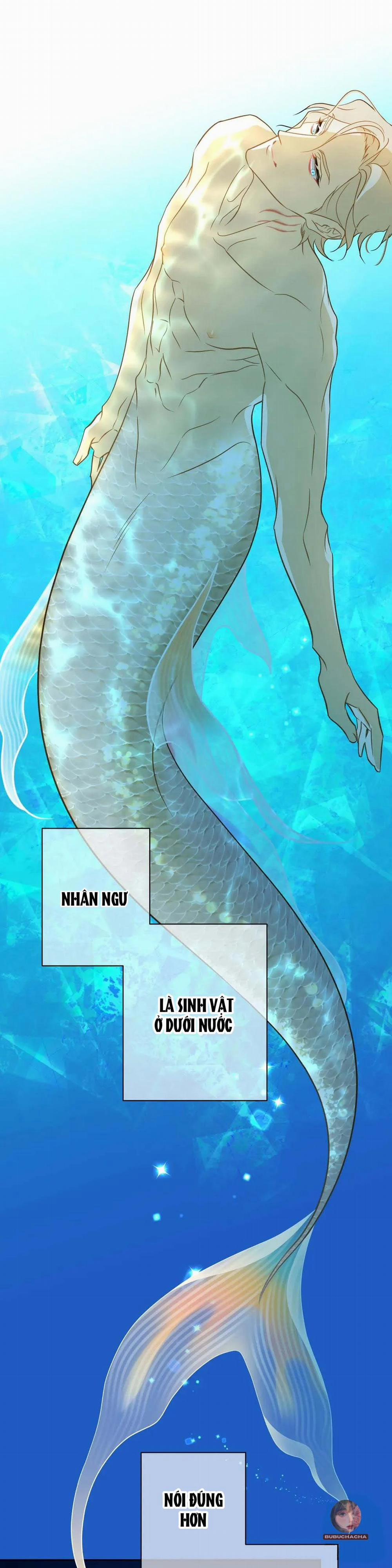 Tình Đầu Của Anh Chủ Quán Sashimi Là Người Cá 2 trang 0