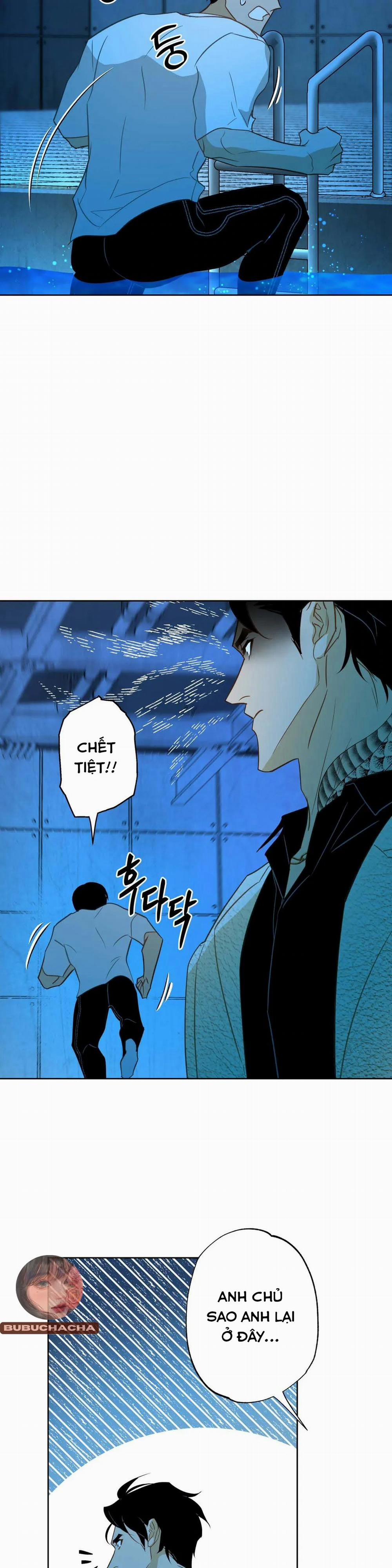 Tình Đầu Của Anh Chủ Quán Sashimi Là Người Cá 2 trang 19