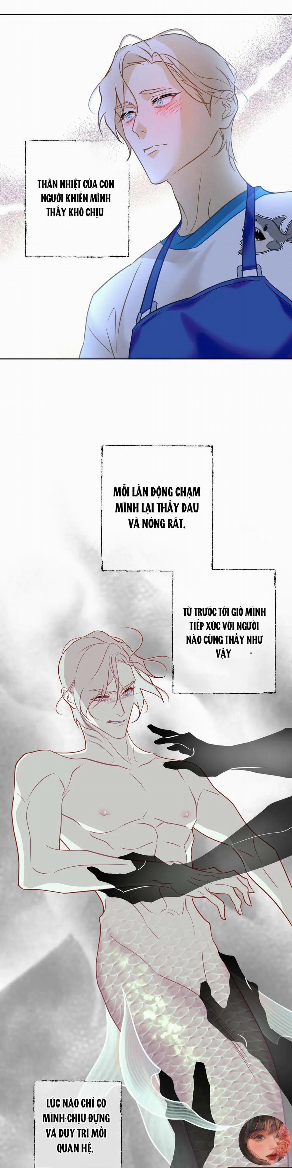 Tình Đầu Của Anh Chủ Quán Sashimi Là Người Cá 3 trang 22