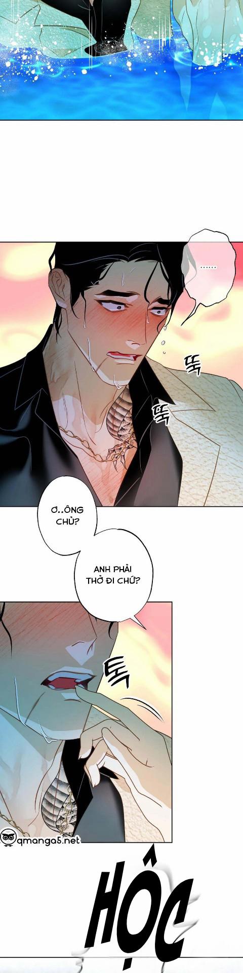 Tình Đầu Của Anh Chủ Quán Sashimi Là Người Cá 3 trang 3