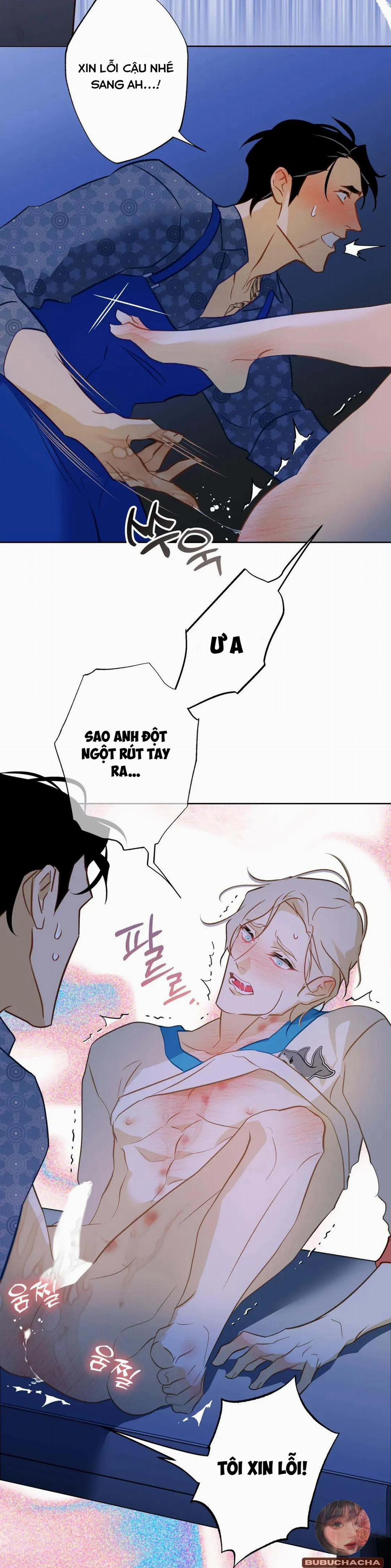 Tình Đầu Của Anh Chủ Quán Sashimi Là Người Cá 4 trang 11