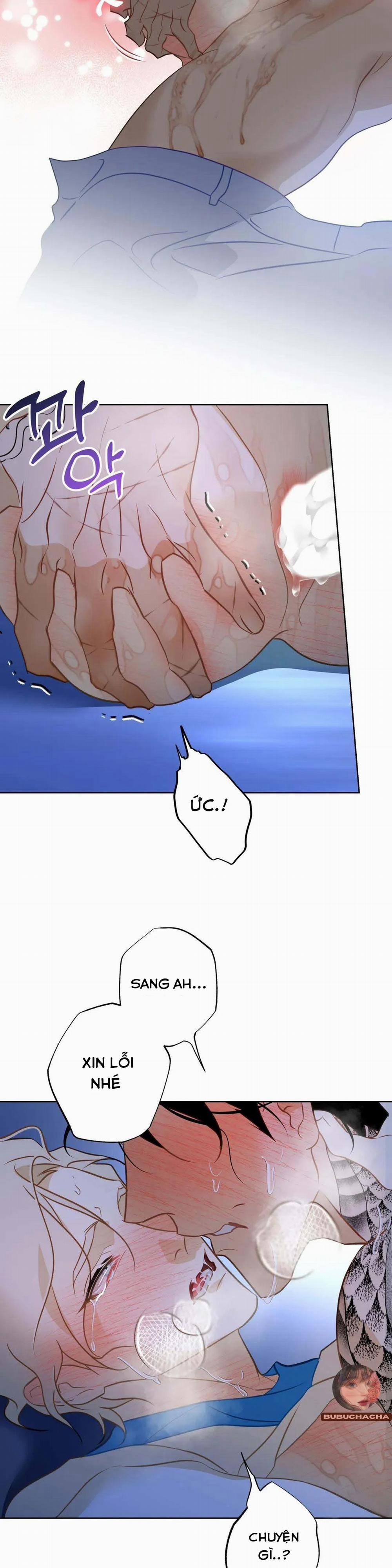 Tình Đầu Của Anh Chủ Quán Sashimi Là Người Cá 4 trang 21