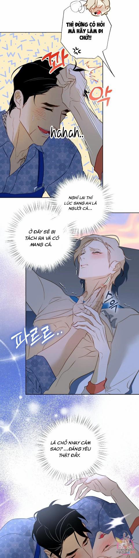 Tình Đầu Của Anh Chủ Quán Sashimi Là Người Cá 4 trang 3