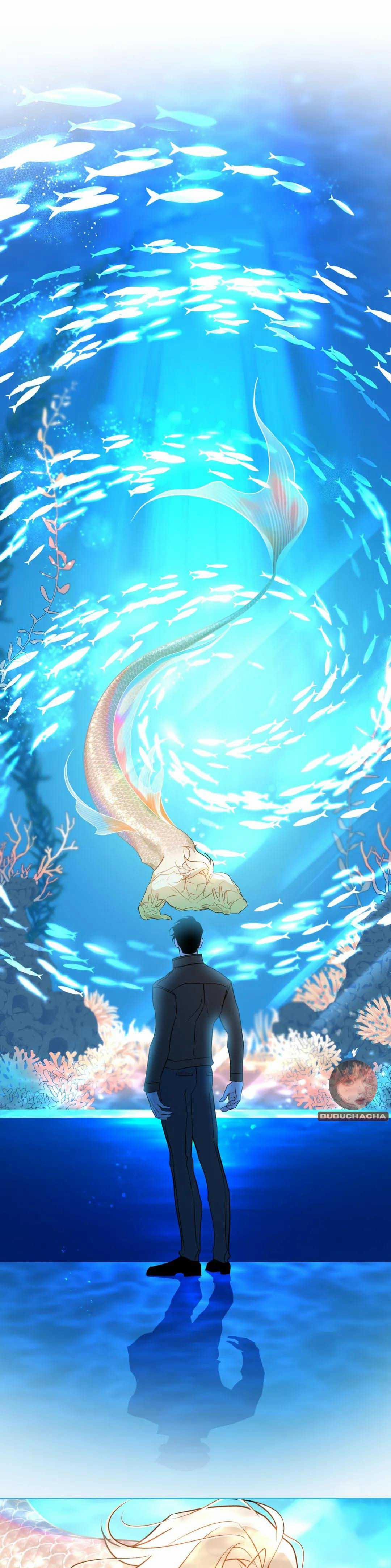 Tình Đầu Của Anh Chủ Quán Sashimi Là Người Cá 5 trang 11