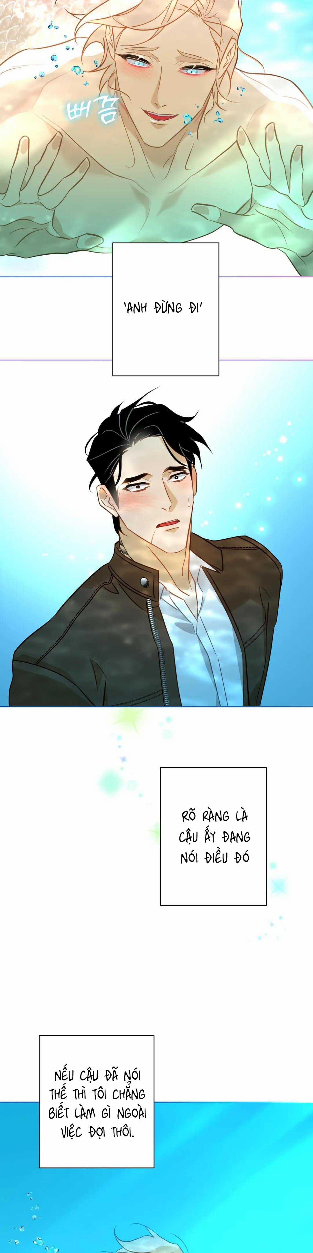 Tình Đầu Của Anh Chủ Quán Sashimi Là Người Cá 5 trang 12