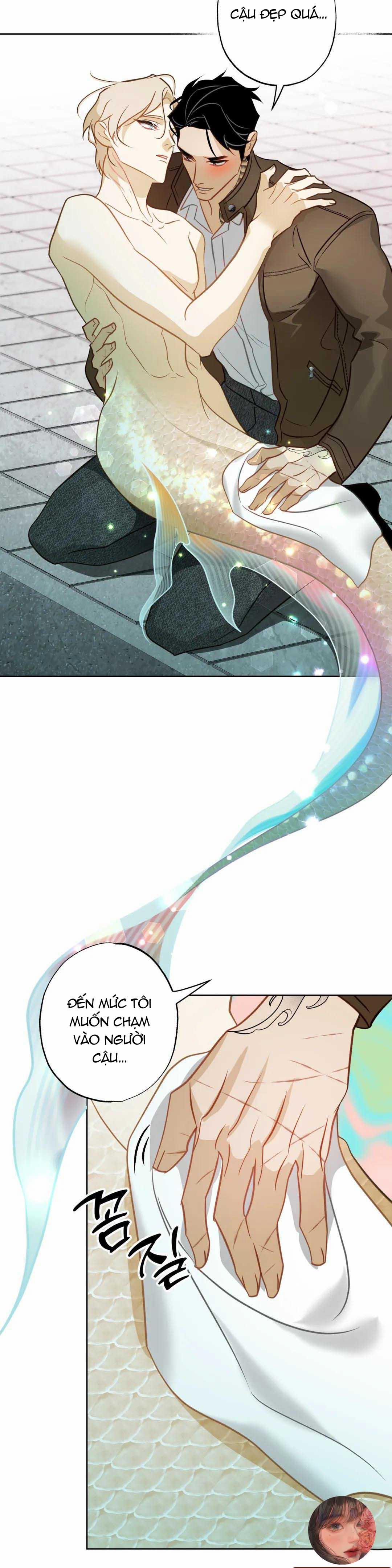 Tình Đầu Của Anh Chủ Quán Sashimi Là Người Cá 5 trang 21