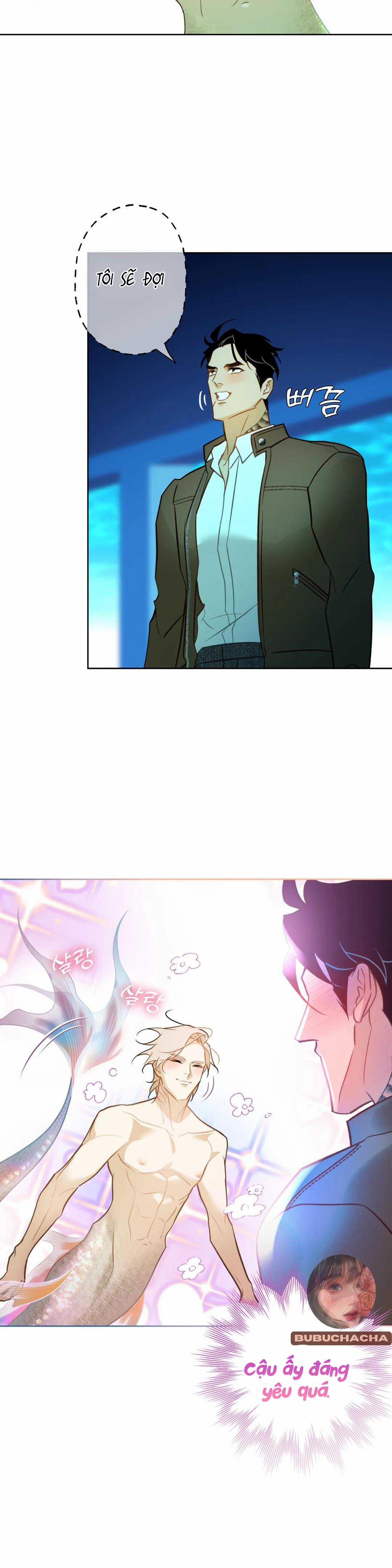 Tình Đầu Của Anh Chủ Quán Sashimi Là Người Cá 5 trang 3
