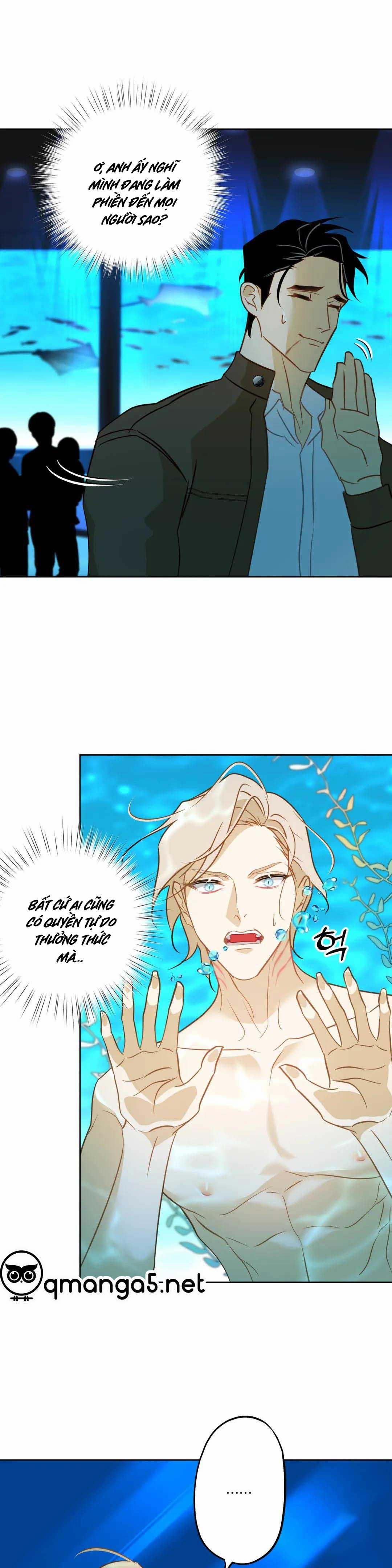 Tình Đầu Của Anh Chủ Quán Sashimi Là Người Cá 5 trang 7
