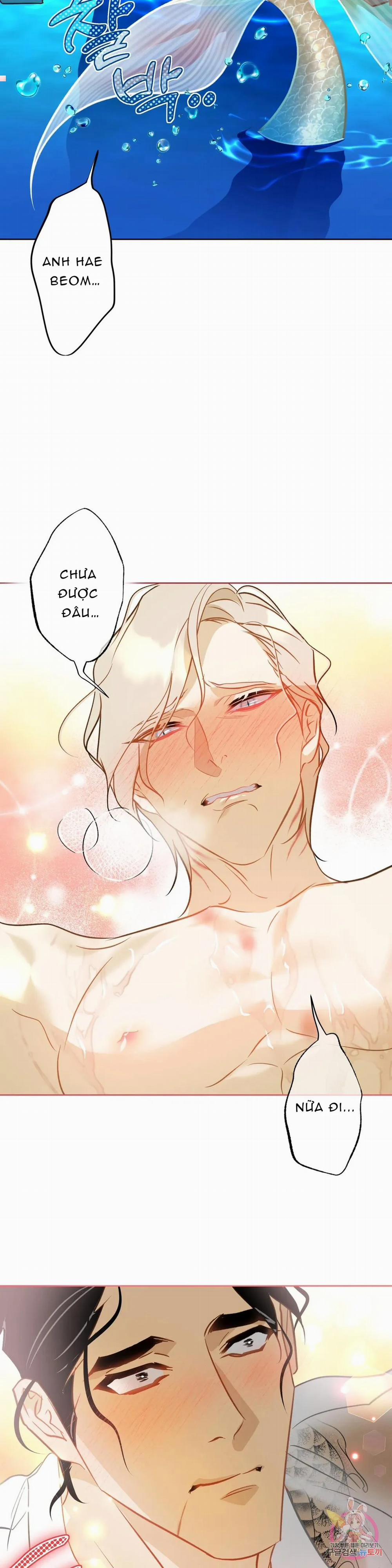 Tình Đầu Của Anh Chủ Quán Sashimi Là Người Cá 6 trang 4