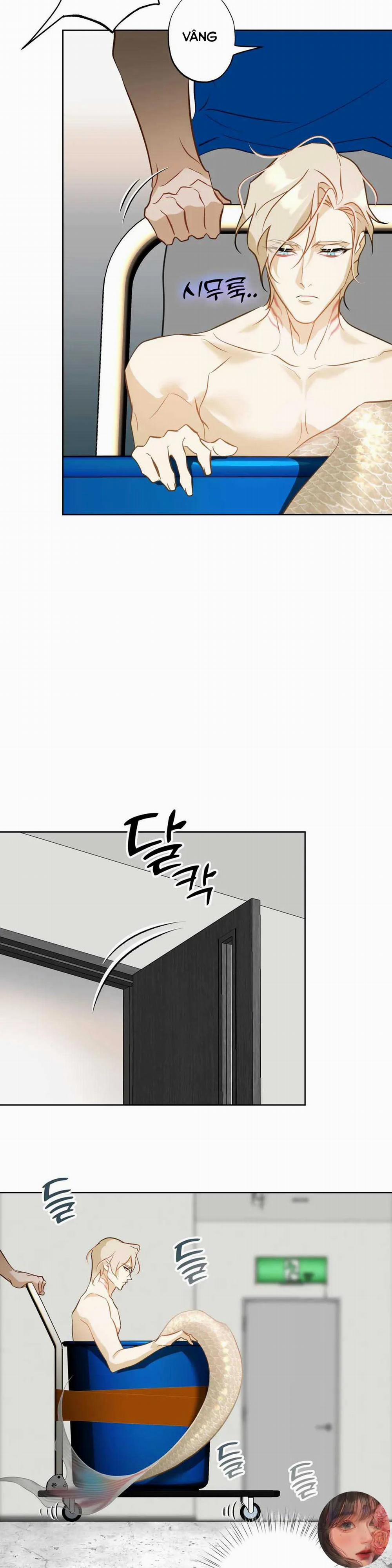 Tình Đầu Của Anh Chủ Quán Sashimi Là Người Cá 7 trang 26