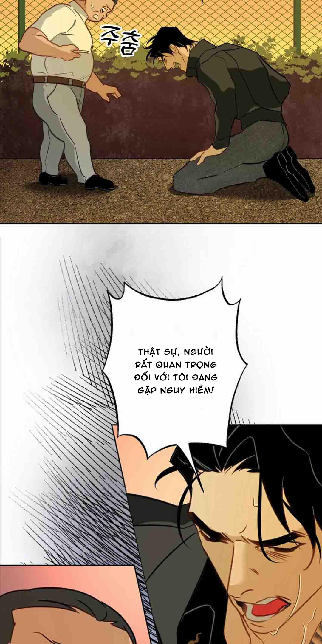 Tình Đầu Của Anh Chủ Quán Sashimi Là Người Cá 8 trang 31