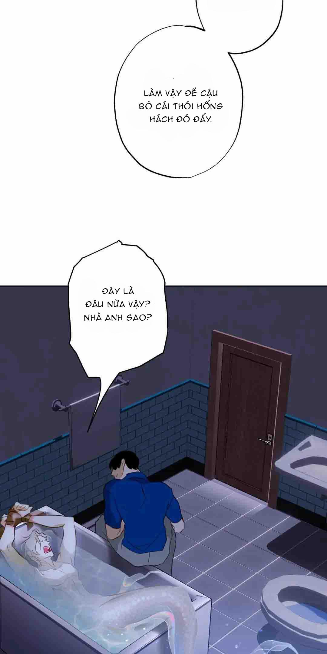 Tình Đầu Của Anh Chủ Quán Sashimi Là Người Cá 8 trang 48