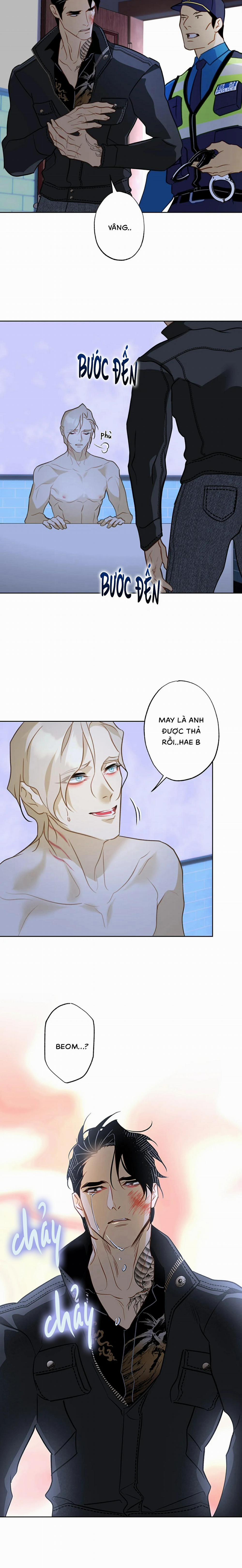 Tình Đầu Của Anh Chủ Quán Sashimi Là Người Cá 9 trang 11