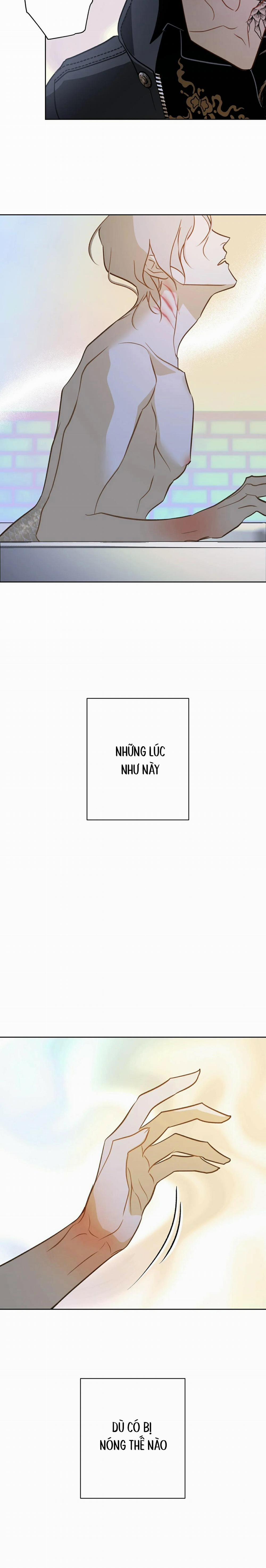 Tình Đầu Của Anh Chủ Quán Sashimi Là Người Cá 9 trang 13