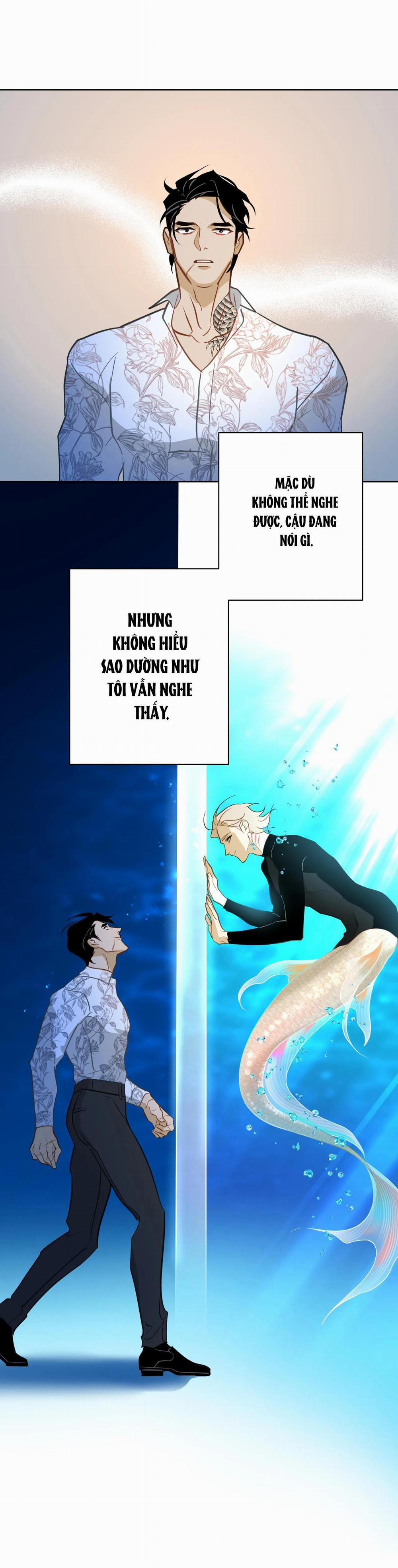 Tình đầu của chủ quán gỏi cá là nhân ngư 11 END trang 64