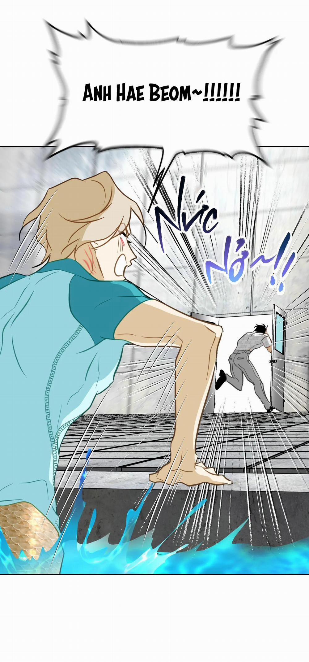 Tình đầu của chủ quán gỏi cá là nhân ngư 13 trang 15