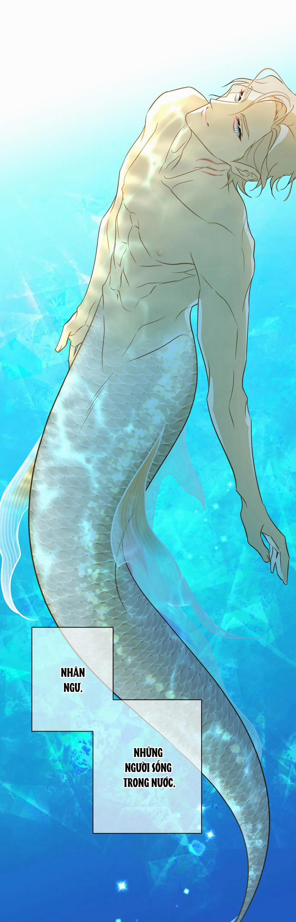 Tình đầu của chủ quán gỏi cá là nhân ngư 2 trang 0