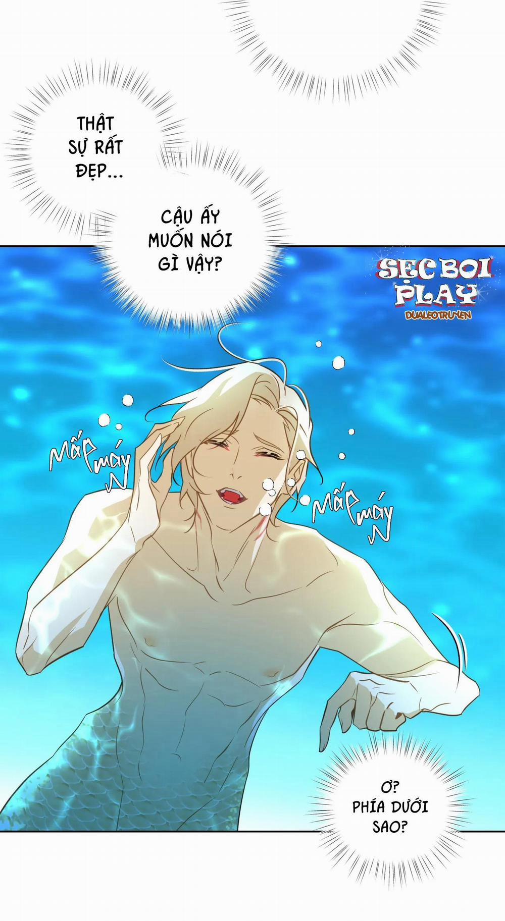 Tình đầu của chủ quán gỏi cá là nhân ngư 2 trang 10