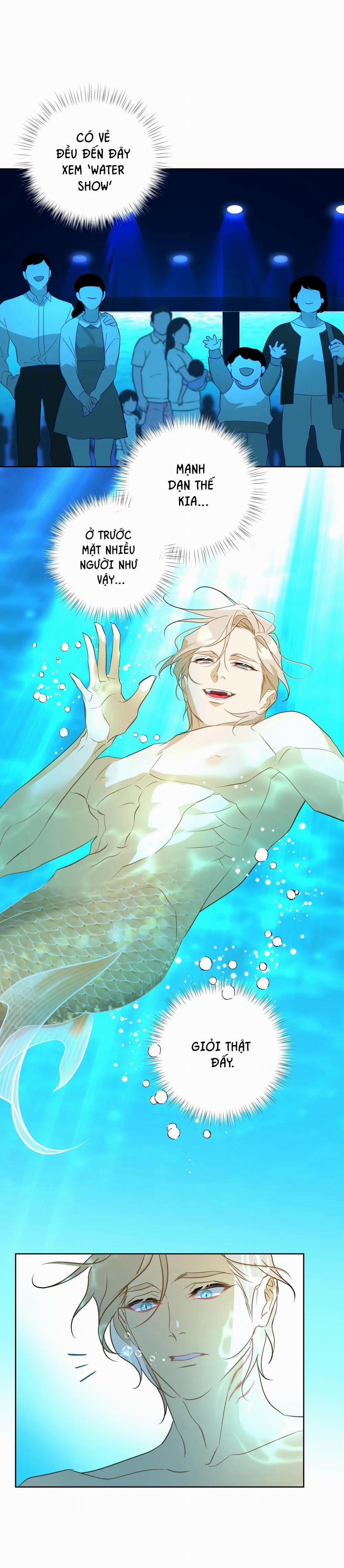 Tình đầu của chủ quán gỏi cá là nhân ngư 2 trang 7