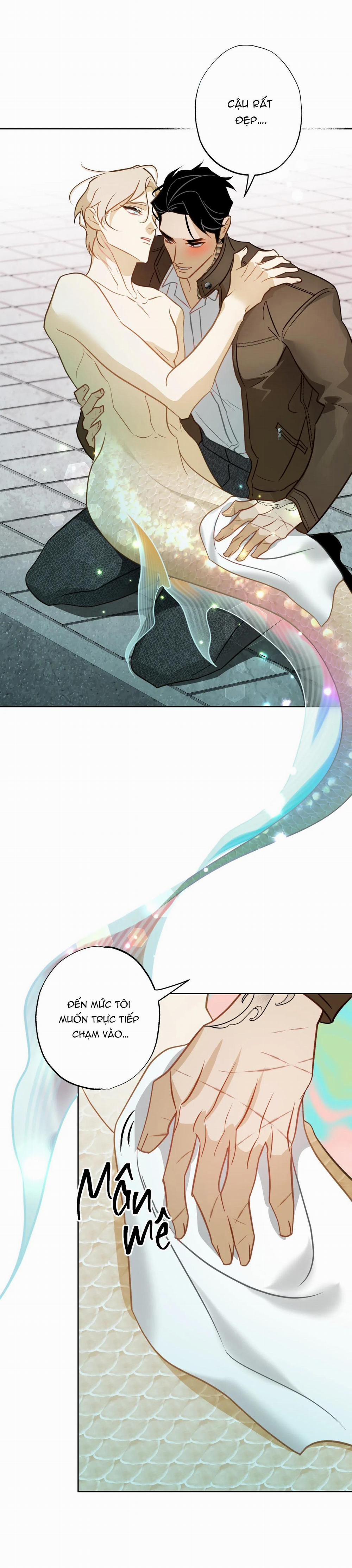 Tình đầu của chủ quán gỏi cá là nhân ngư 5 trang 35