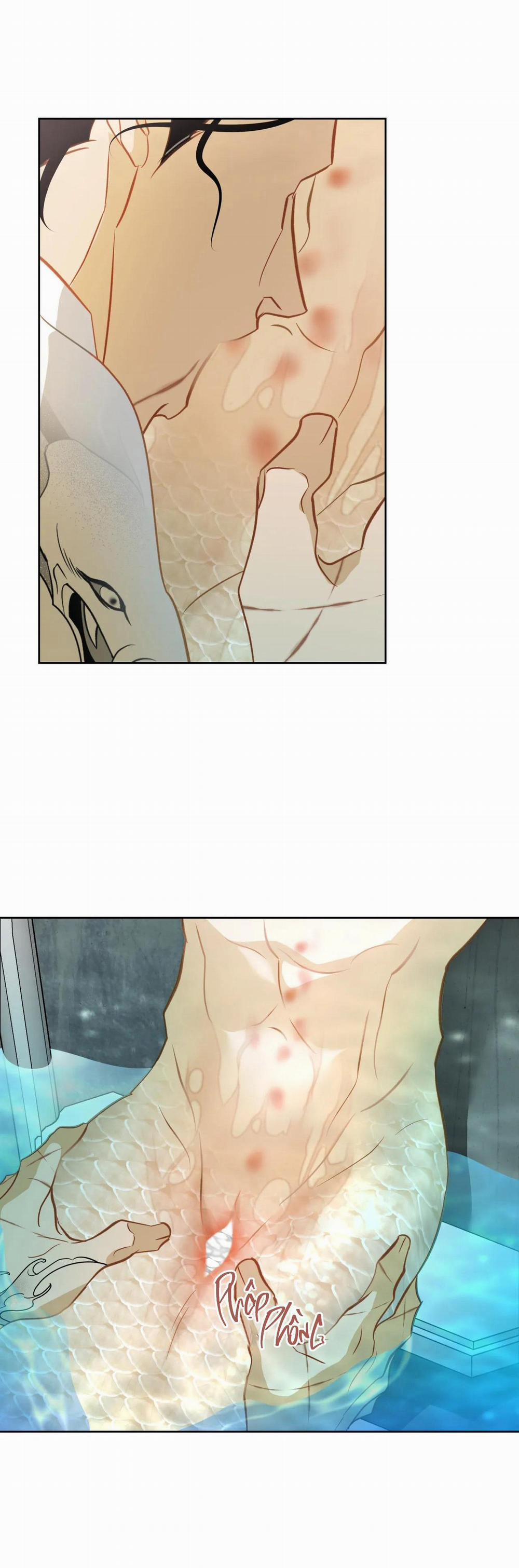 Tình đầu của chủ quán gỏi cá là nhân ngư 6 trang 1