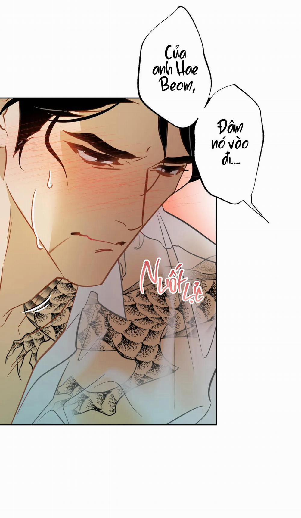 Tình đầu của chủ quán gỏi cá là nhân ngư 6 trang 35