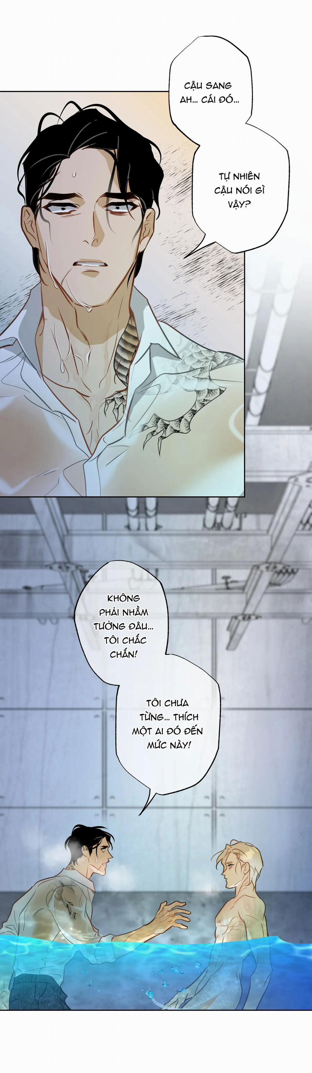 Tình đầu của chủ quán gỏi cá là nhân ngư 7 trang 0