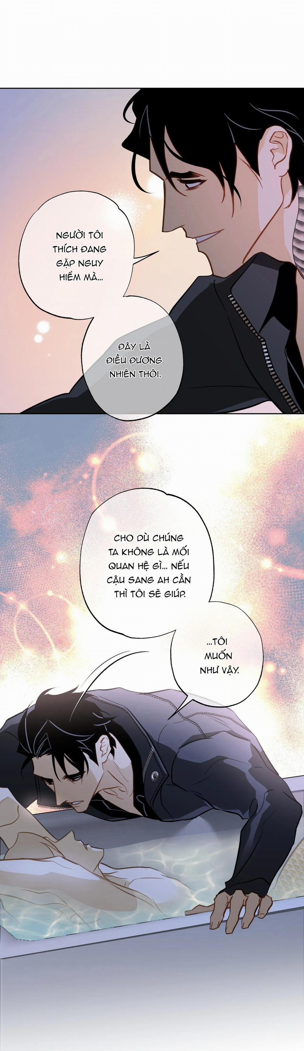 Tình đầu của chủ quán gỏi cá là nhân ngư 9 trang 9