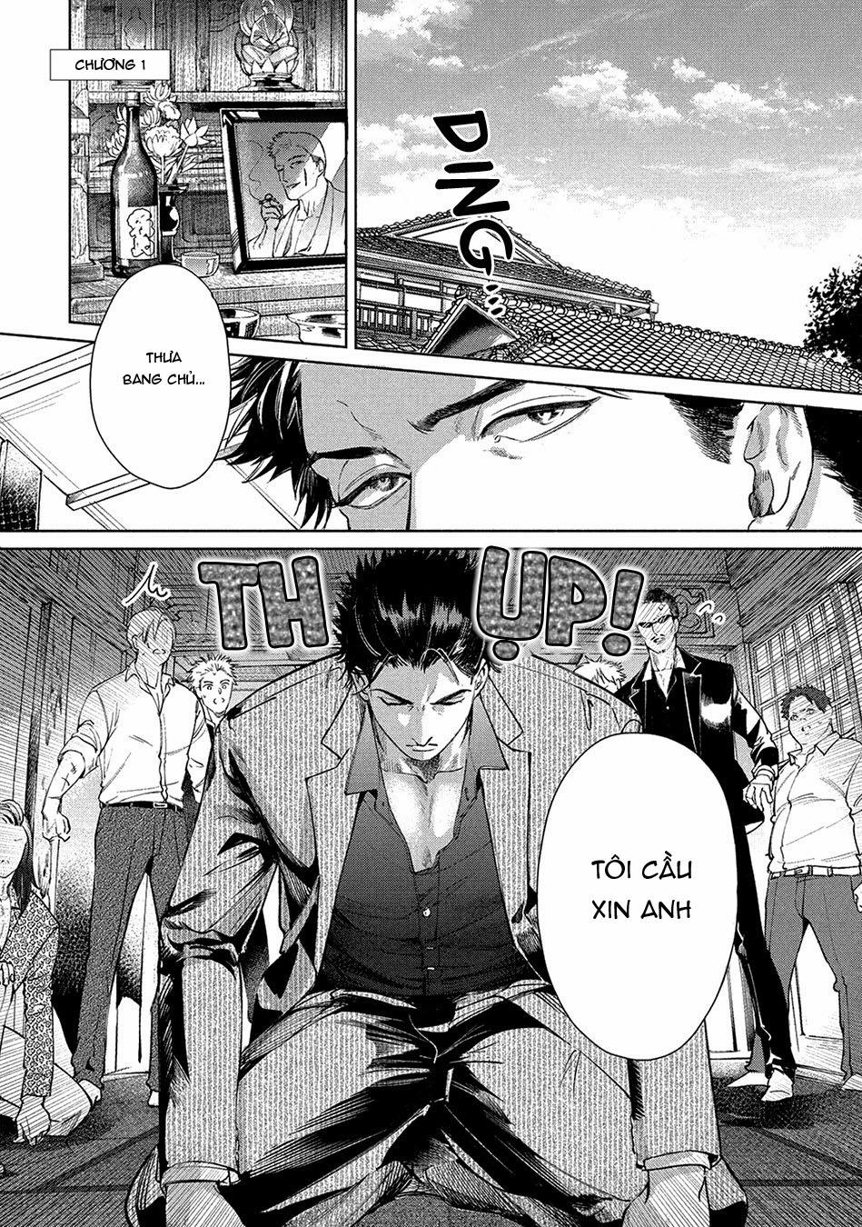 Tình Đầu Điên Dại 1 trang 0