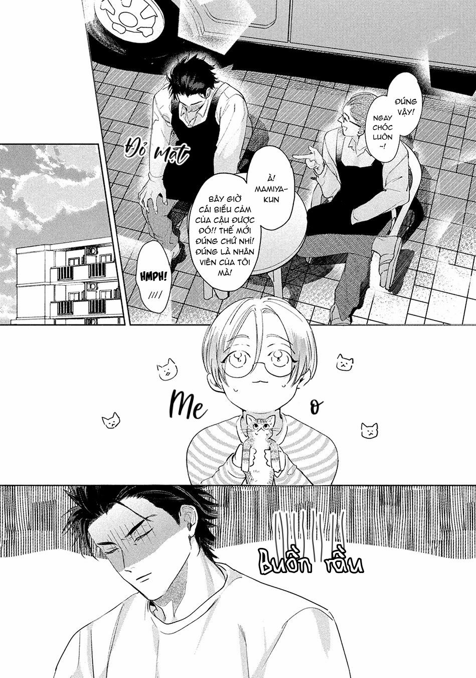 Tình Đầu Điên Dại 3 trang 14