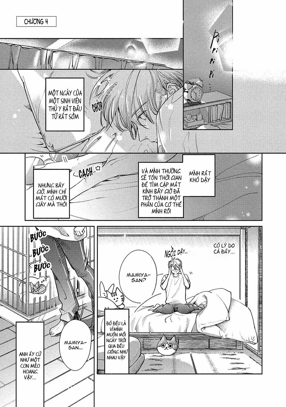 Tình Đầu Điên Dại 4 trang 0