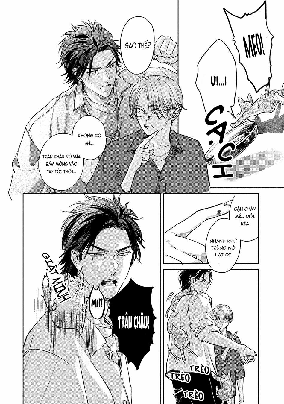 Tình Đầu Điên Dại 4 trang 3