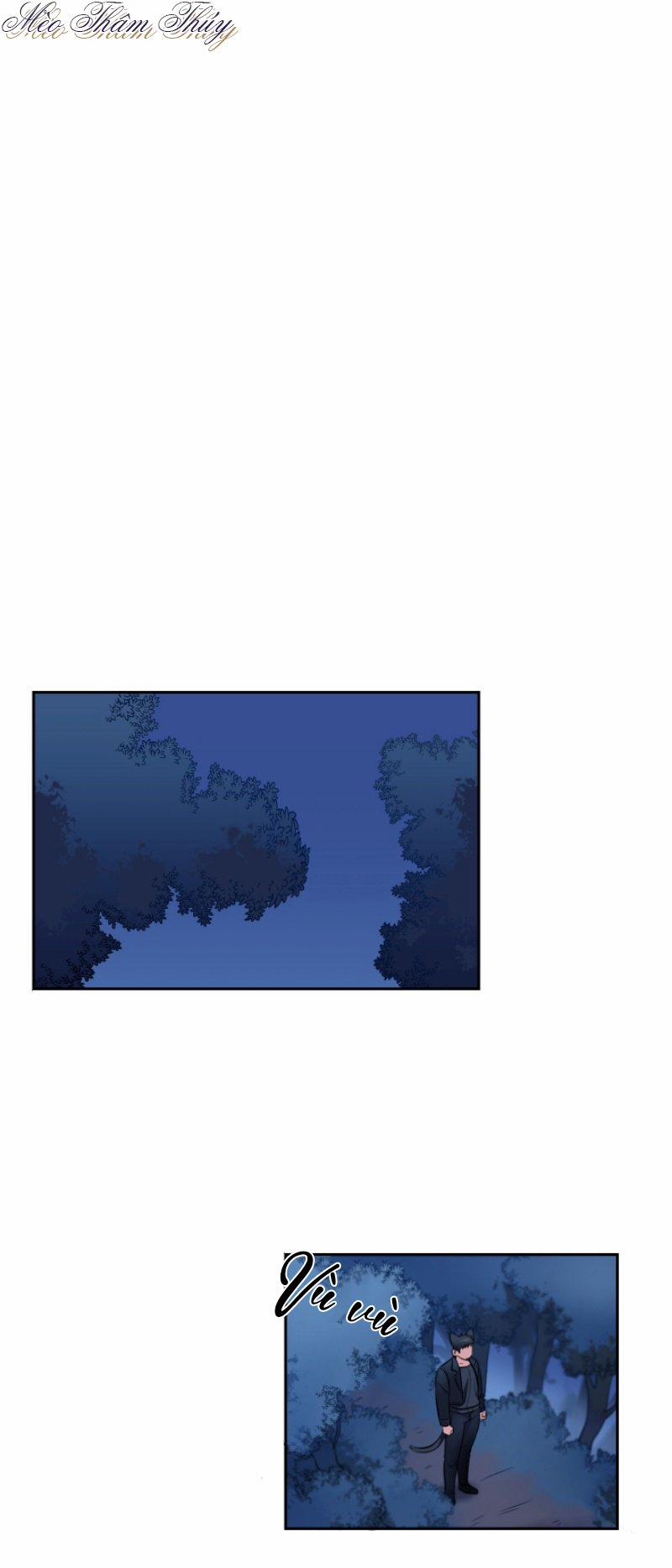 Tình Đầu 3 trang 0