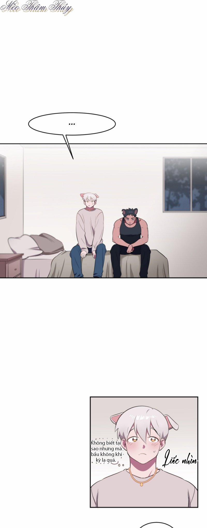 Tình Đầu 3 trang 5