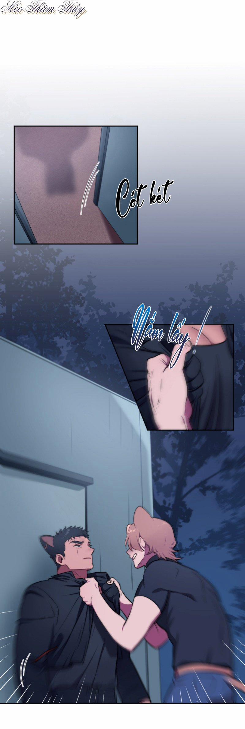 Tình Đầu 4 trang 0