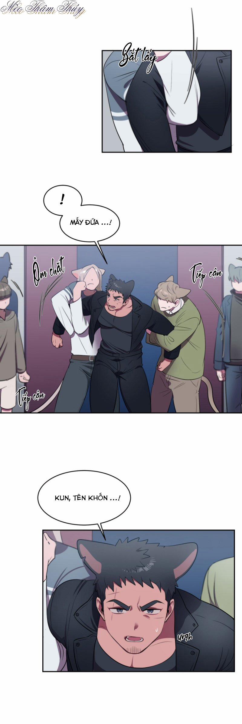 Tình Đầu 4 trang 7