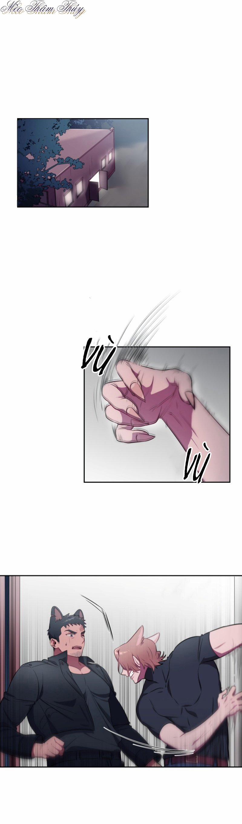 Tình Đầu 5 trang 0