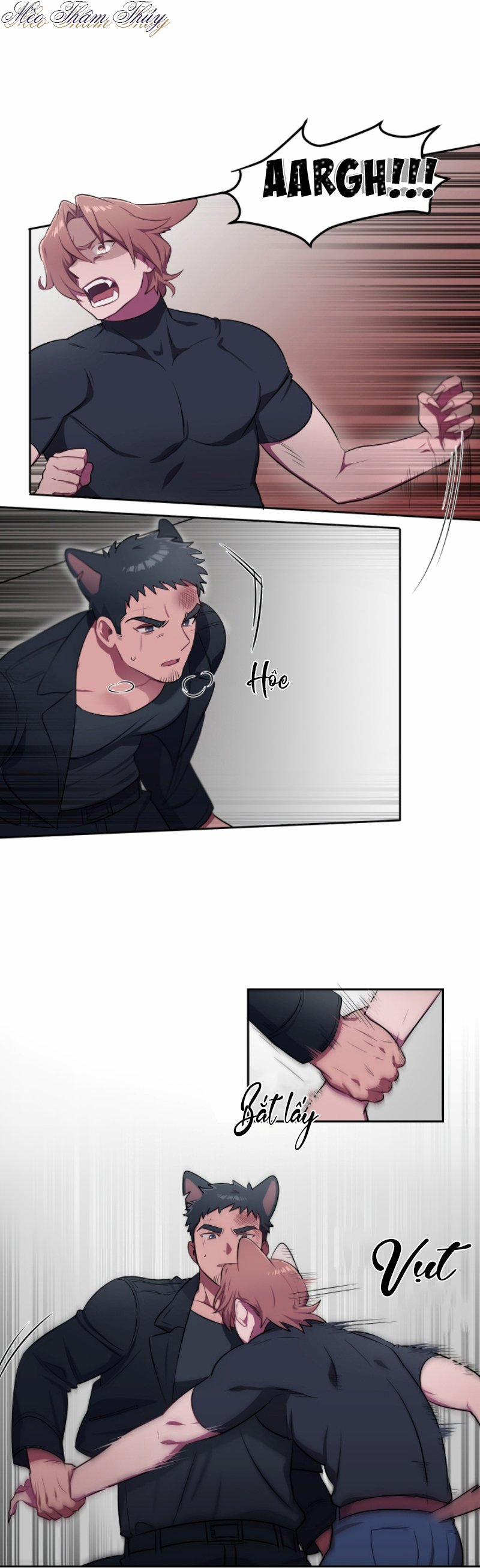 Tình Đầu 5 trang 1