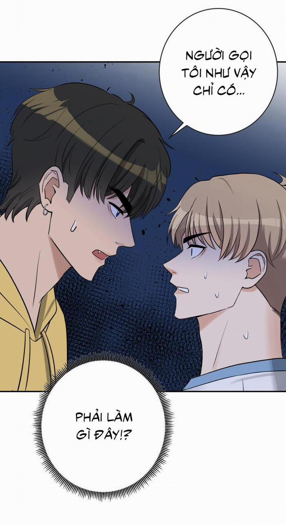 Tỉnh Dậy Lần Nữa Bỗng Trở Thành Minh Tinh Rồi 16 trang 42