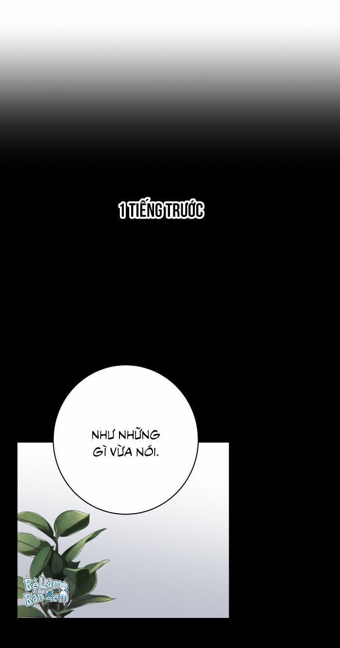 Tỉnh Dậy Lần Nữa Bỗng Trở Thành Minh Tinh Rồi 31 trang 16