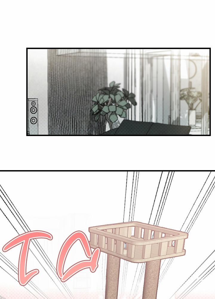 Tình Đơn Phương 13 trang 54