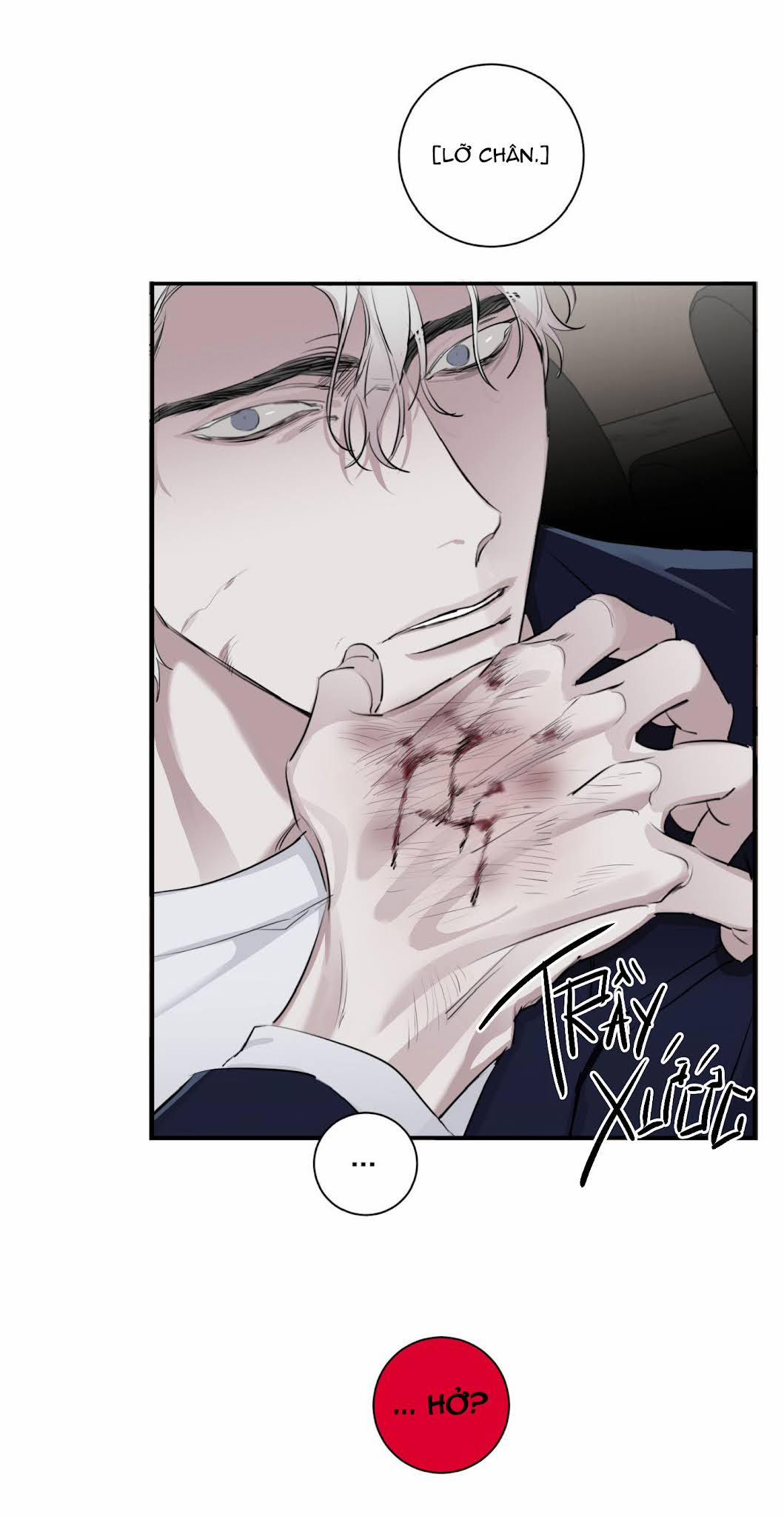 Tình Đơn Phương 8 trang 17