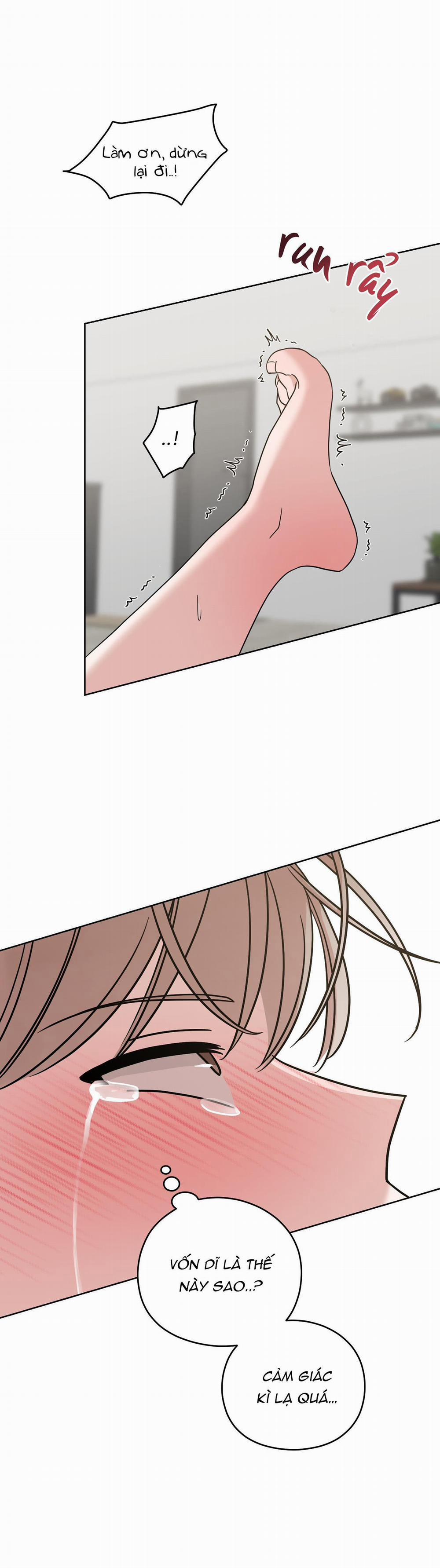 Tình Huống Không Tránh Khỏi 4 trang 28