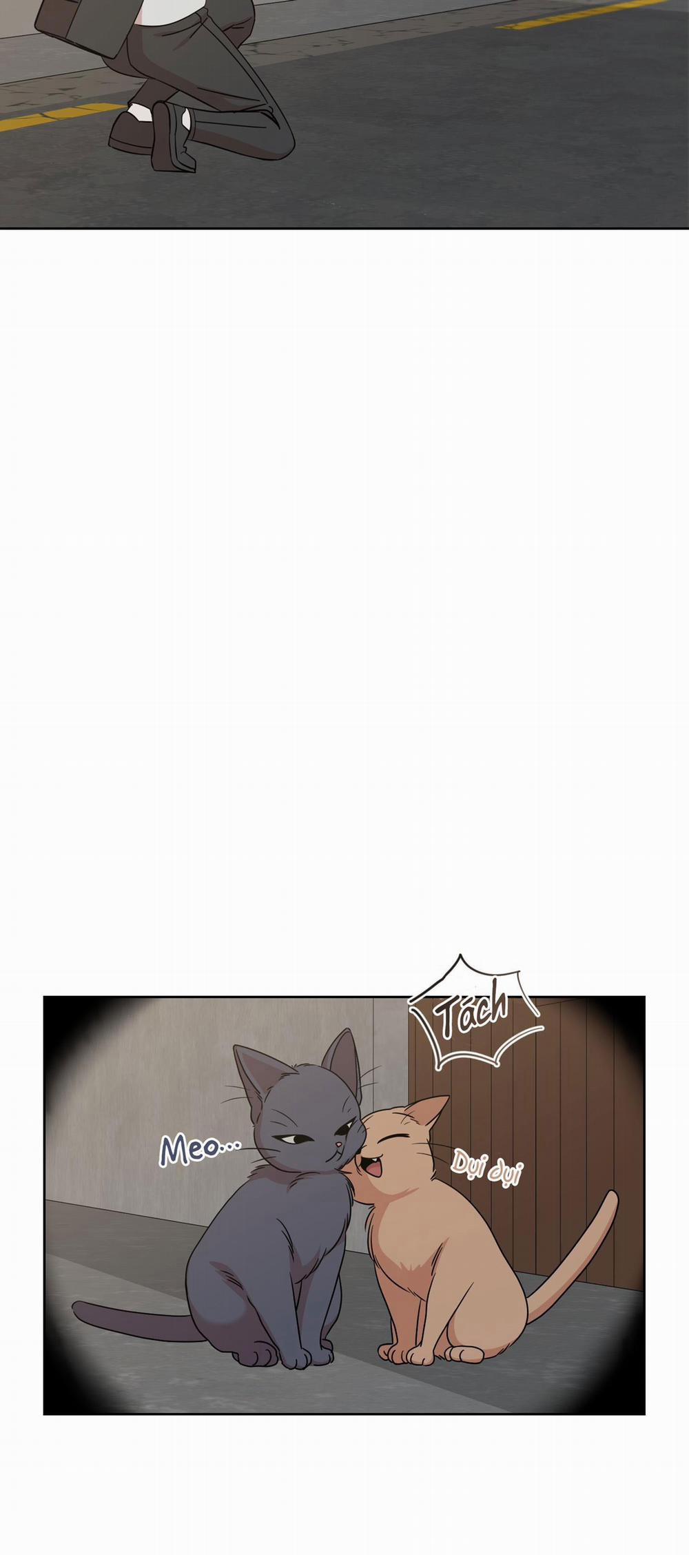 Tình Huống Không Tránh Khỏi 5 trang 9