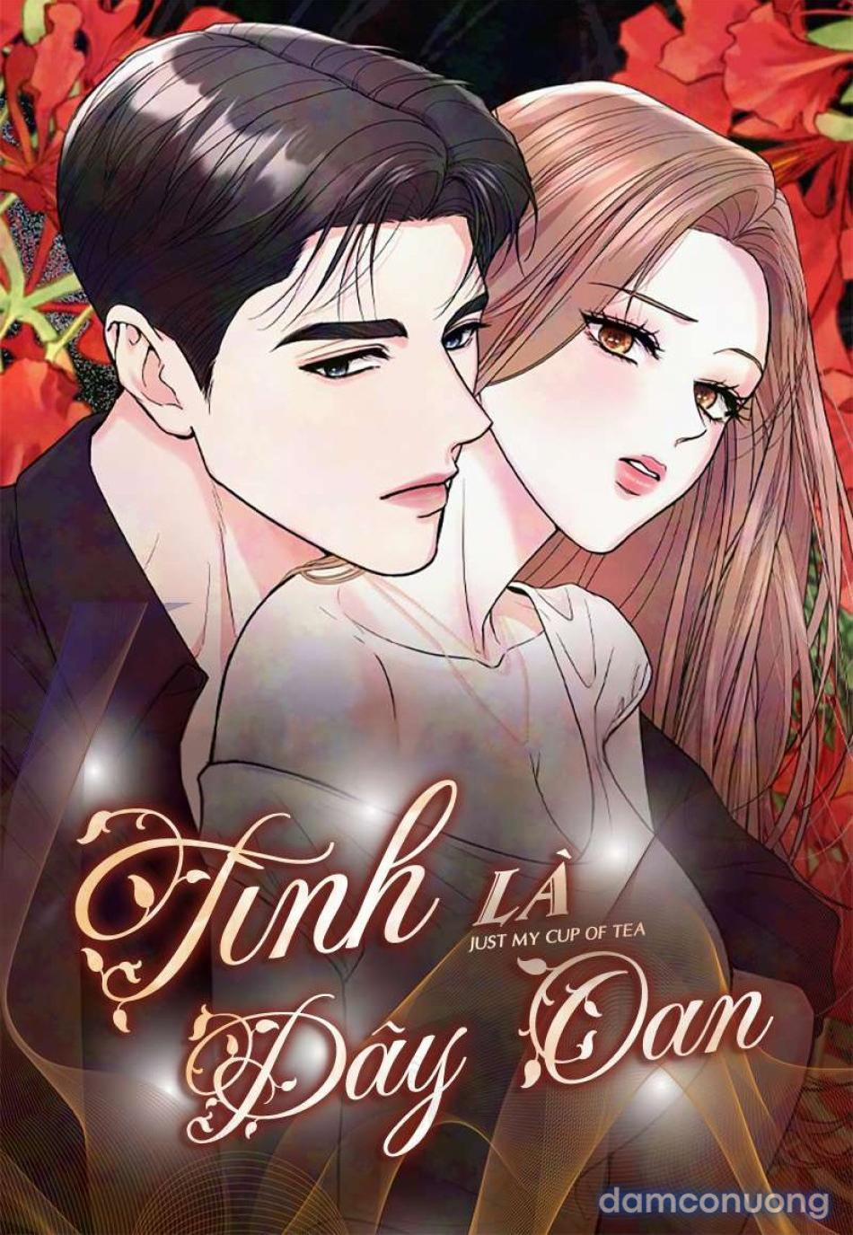 Tình Là Dây Oan 12 trang 0