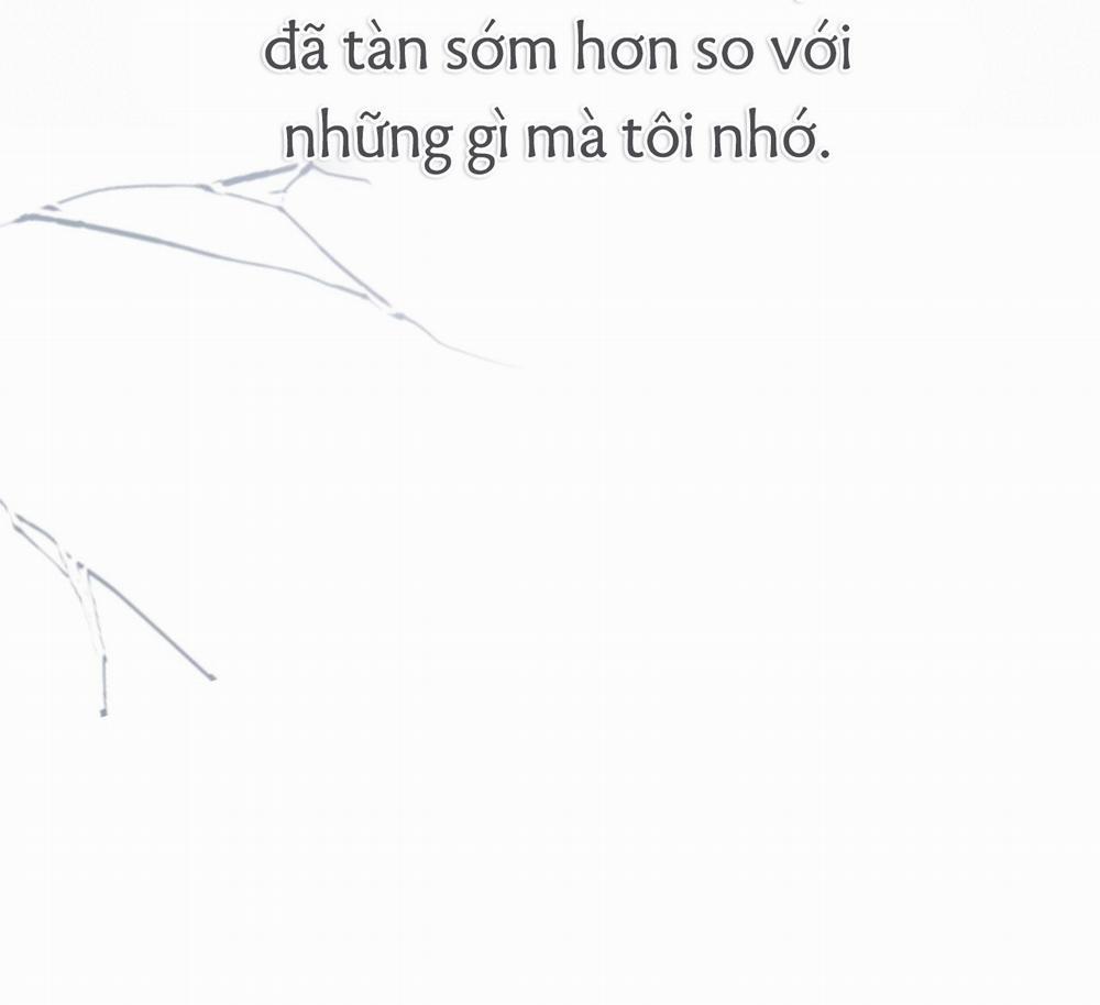 Tình Mình Khó Nói 10 trang 179