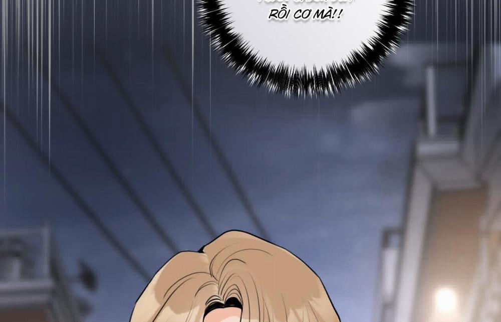 Tình Mình Khó Nói 11 trang 175
