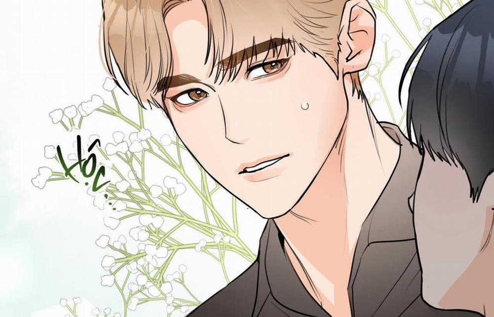 Tình Mình Khó Nói 11 trang 37